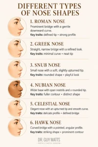 Different Types of Nose Shapes - Infographics by Dr Guy Watts